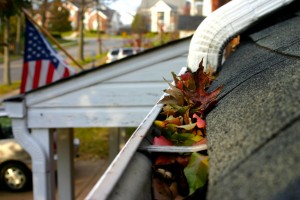 Residential Gutter cleaning